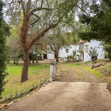 Molino De Gris Cazorla Βίλα Chilluevar Εξωτερικό φωτογραφία