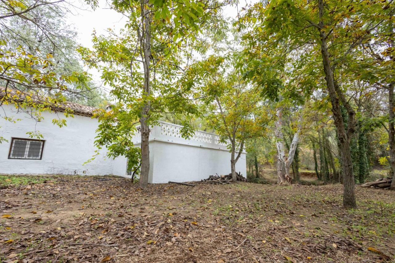Molino De Gris Cazorla Βίλα Chilluevar Εξωτερικό φωτογραφία